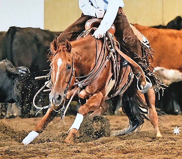 NP, AM world caliber cutter Cutting Horse Central